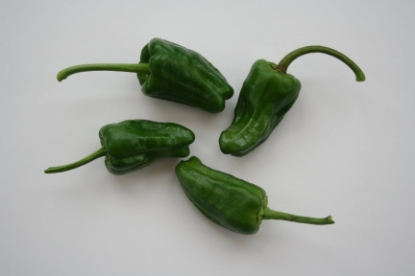 Picture of Capsicum Padron Chilli Pepper